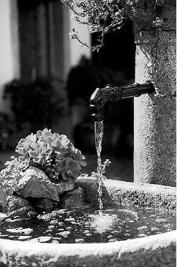 Brunnen